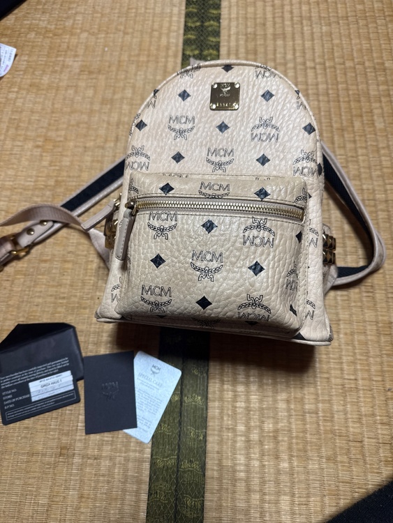 その他 その他 （ブランドバッグ）の商品画像 - 査定依頼日：2026年2月9日 - 最高査定価格：11,000円