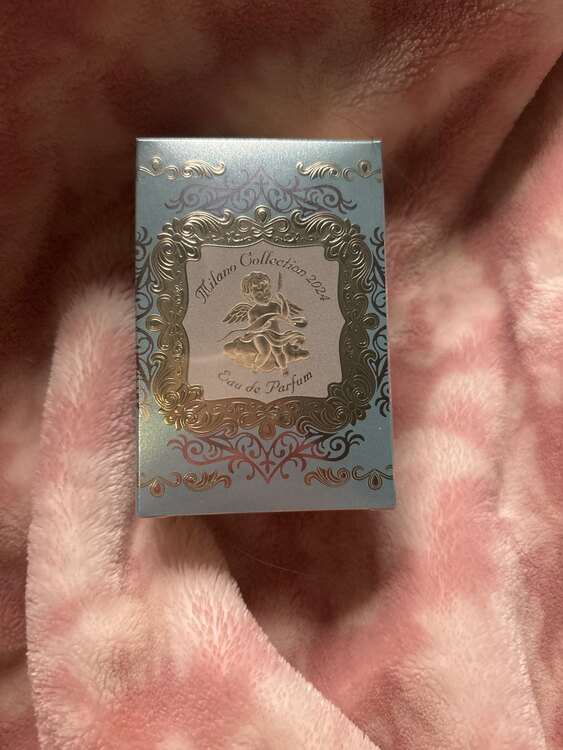 ミラノコレクション2024（コスメ・美容・健康器具）の商品画像 - 査定依頼日：2025年5月18日 - 最高査定価格：2,000円