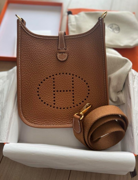 エブリンtpm（ブランドバッグ）の商品画像 - 査定依頼日：2025年8月18日 - 最高査定価格：370,000円