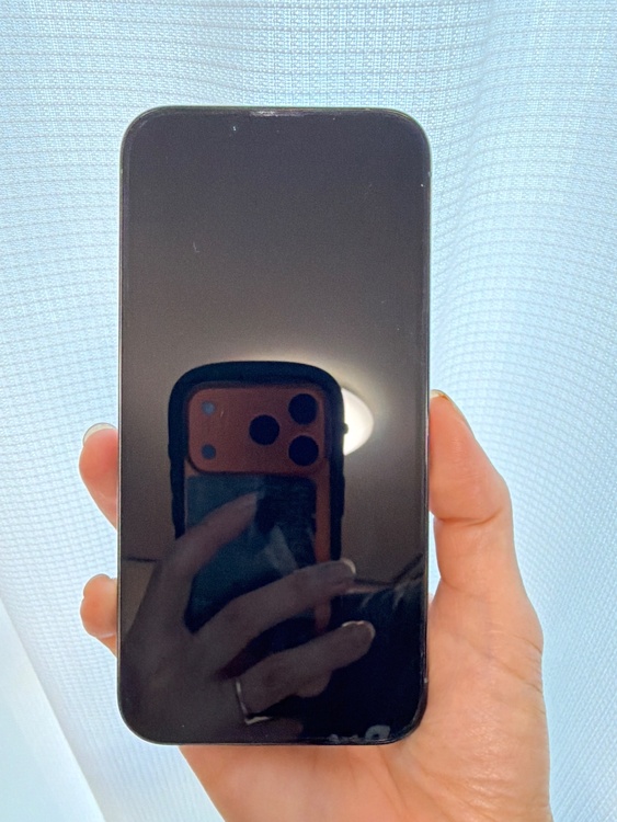 iPhone iPhone 13 Pro 256GB SIMフリー（スマホ）の商品画像 - 査定依頼日：2026年5月31日 - 最高査定価格：48,000円