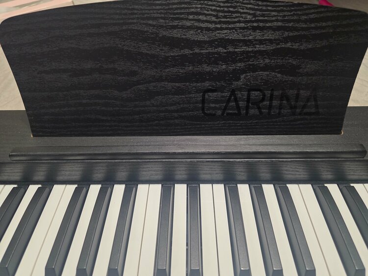 carina-LF130（ピアノ・楽器・PA機材）の商品画像 - 査定依頼日：2026年3月1日 - 最高査定価格：3,000円