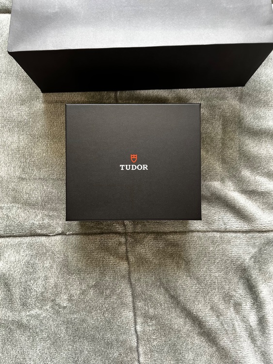 チューダー ブラックベイ （高級時計）の商品画像 - 査定依頼日：2025年6月29日 - 最高査定価格：440,000円