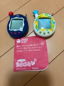 たまごっち（ゲーム機本体・ゲームソフト）の商品画像 - 査定依頼日：2026年9月13日 - 最高査定価格：1,000円