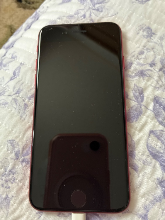 iPhoneSE第三世代（スマホ）の商品画像 - 査定依頼日：2026年9月26日 - 最高査定価格：18,000円