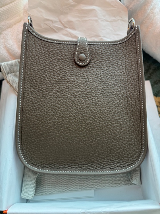 ミニエブリン tpm（ブランドバッグ）の商品画像 - 査定依頼日：2025年7月15日 - 最高査定価格：370,000円