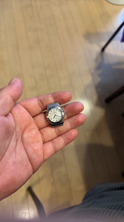 15617100（高級時計）の商品画像 - 査定依頼日：2025年9月24日 - 最高査定価格：110,000円