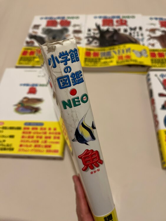 小学館の図鑑NEO（古本）の商品画像 - 査定依頼日：2025年2月15日 - 最高査定価格：650円