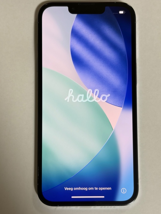 iPhone 13 Pro 256GB SIMフリー（スマホ）の商品画像 - 査定依頼日：2026年2月28日 - 最高査定価格：42,000円