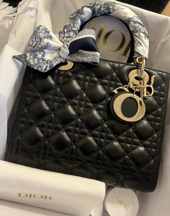 レディディオール（ブランドバッグ）の商品画像 - 査定依頼日：2025年2月14日 - 最高査定価格：400,000円