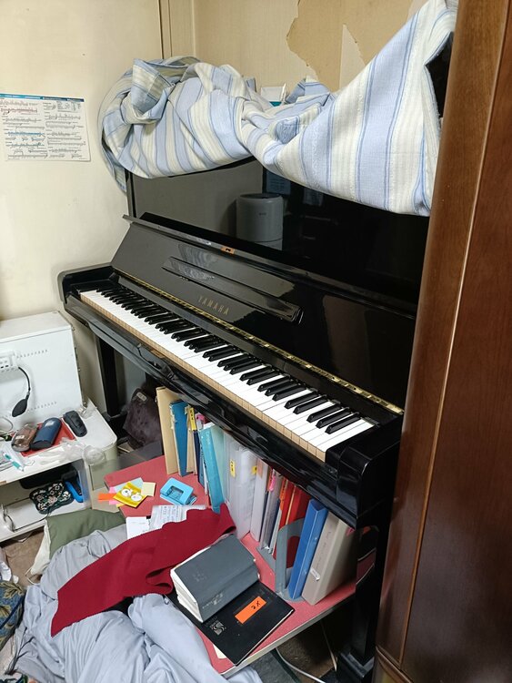 U3H 1874910（ピアノ・楽器・PA機材）の商品画像 - 査定依頼日：2026年3月17日 - 最高査定価格：200,000円