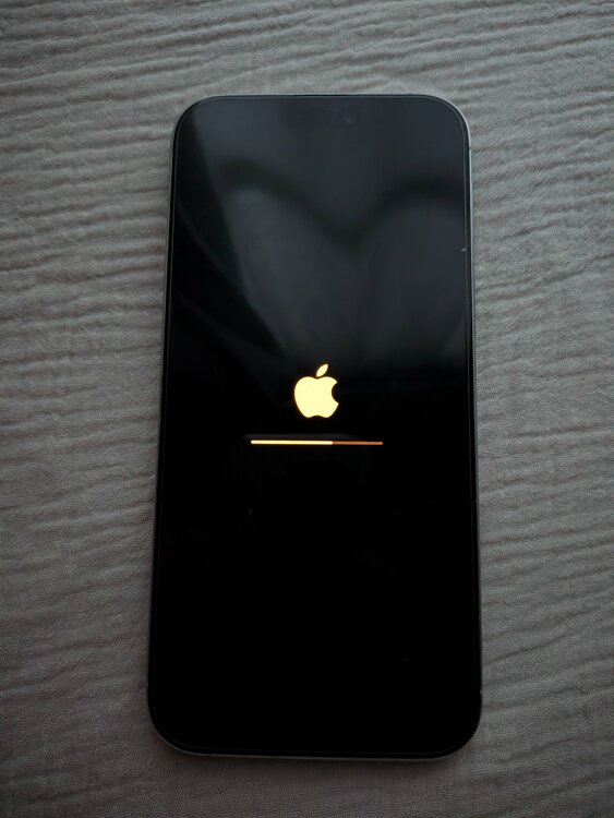 iPhone 16 Pro Max 256GB docomo（スマホ）の商品画像 - 査定依頼日：2026年4月20日 - 最高査定価格：129,000円