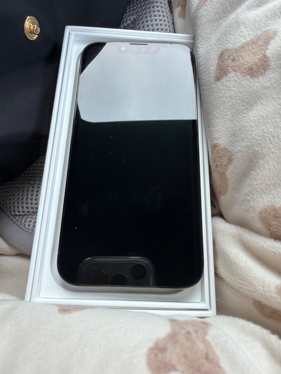 iPhone iPhone 13 Pro 256GB SIMフリー（スマホ）の商品画像 - 査定依頼日：2026年9月14日 - 最高査定価格：48,000円