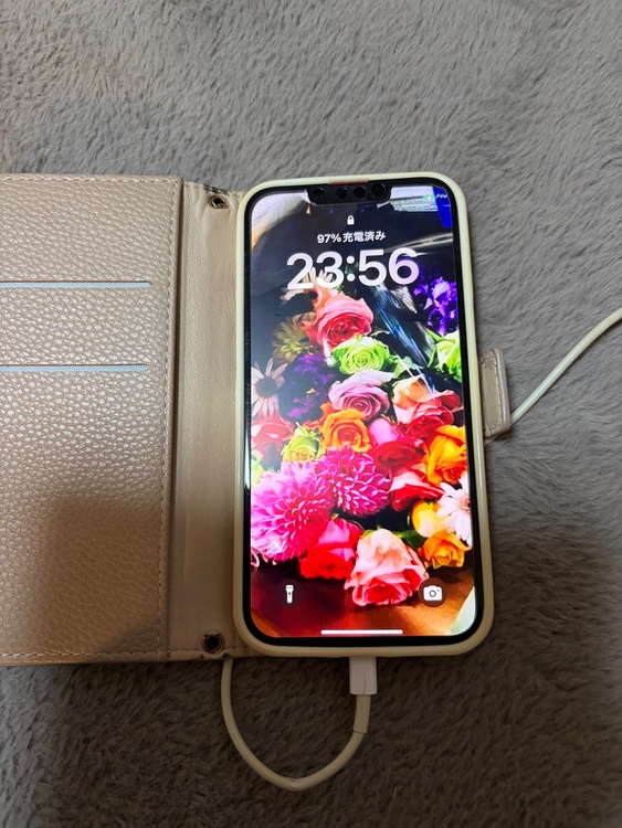 iPhone iPhone 13 256GB SIMフリー（スマホ）の商品画像 - 査定依頼日：2026年9月11日 - 最高査定価格：37,000円