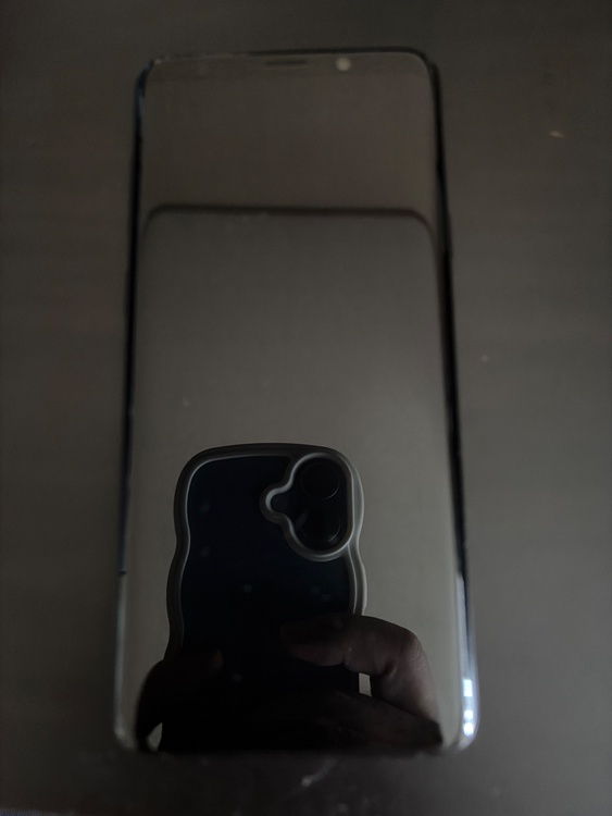 Galaxy Galaxy S9シリーズ 【docomo】Galaxy S9+ SC-03K（スマホ）の商品画像 - 査定依頼日：2026年8月3日 - 最高査定価格：100円
