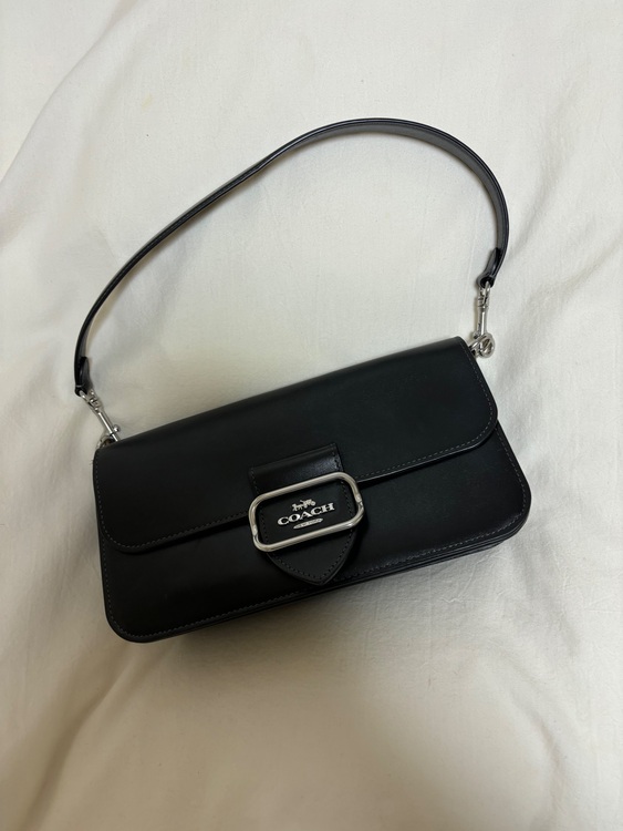 その他 コーチ （ブランドバッグ）の商品画像 - 査定依頼日：2025年10月28日 - 最高査定価格：2,000円