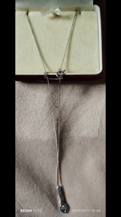 シルバーネックレス925（金・貴金属）の商品画像 - 査定依頼日：2025年10月12日 - 最高査定価格：1,000円