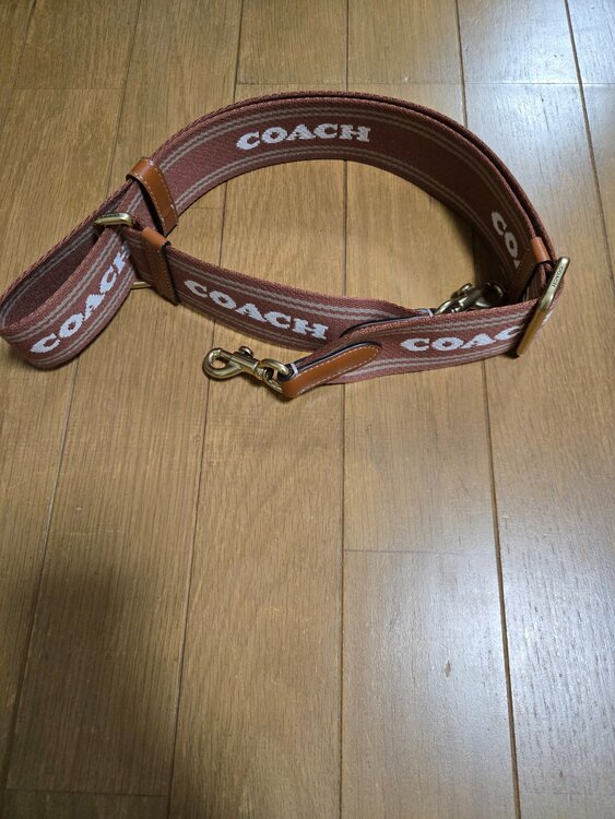 バックショルダー（ブランドバッグ）の商品画像 - 査定依頼日：2025年12月14日 - 最高査定価格：500円