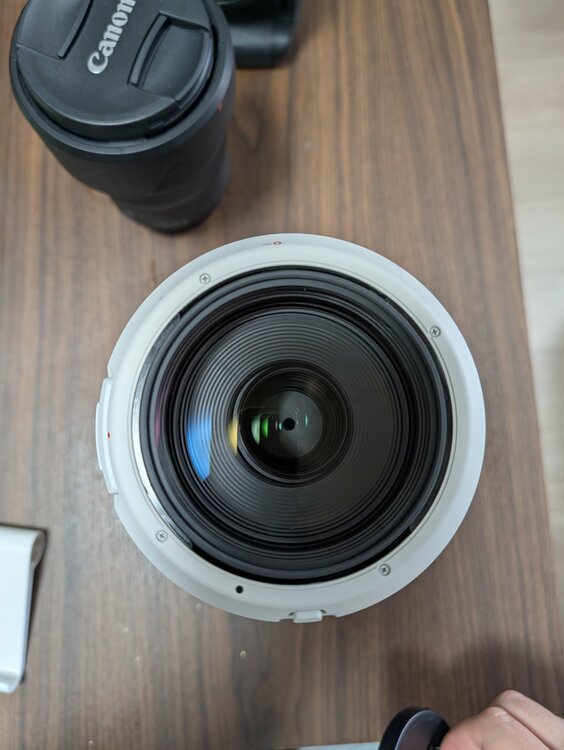 RF100-500（カメラ）の商品画像 - 査定依頼日：2026年2月18日 - 最高査定価格：230,000円