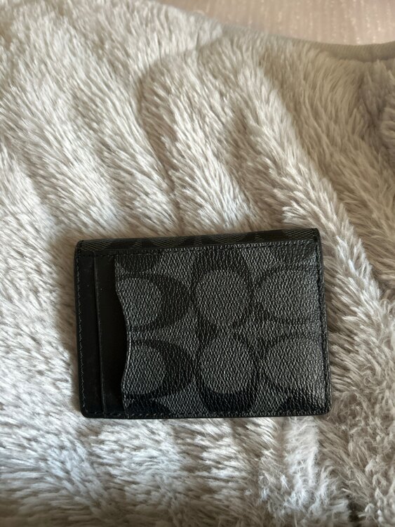 その他 コーチ （ブランドバッグ）の商品画像 - 査定依頼日：2025年3月11日 - 最高査定価格：1,000円