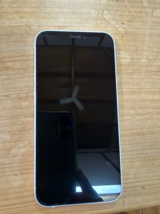 iPhone iPhone 12 mini 64GB SIMフリー（スマホ）の商品画像 - 査定依頼日：2026年7月1日 - 最高査定価格：19,000円