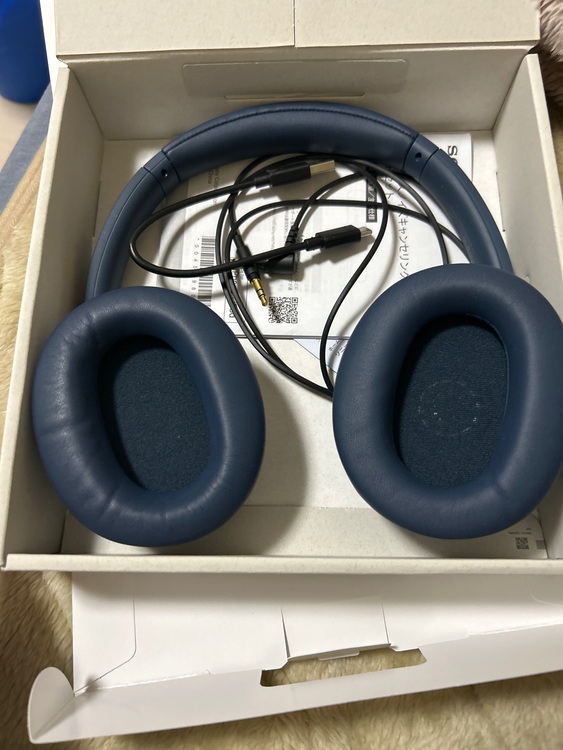 WH-CH720N（オーディオ・スピーカー）の商品画像 - 査定依頼日：2025年11月23日 - 最高査定価格：1,500円