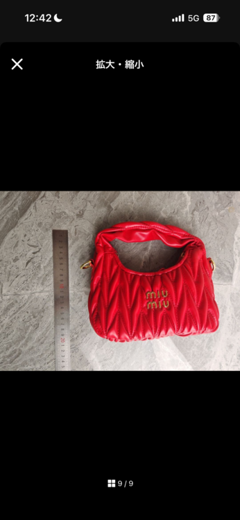 ミュウミュウ  （ブランドバッグ）の商品画像 - 査定依頼日：2026年2月10日 - 最高査定価格：100,000円