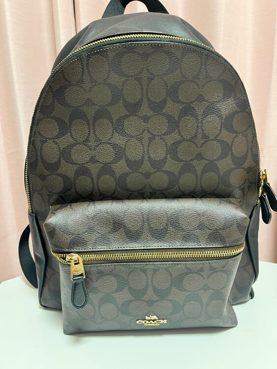 その他 コーチ （ブランドバッグ）の商品画像 - 査定依頼日：2025年4月28日 - 最高査定価格：5,000円