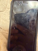 iphone se第3世代（スマホ）の商品画像 - 査定依頼日：2026年3月27日 - 最高査定価格：20,000円