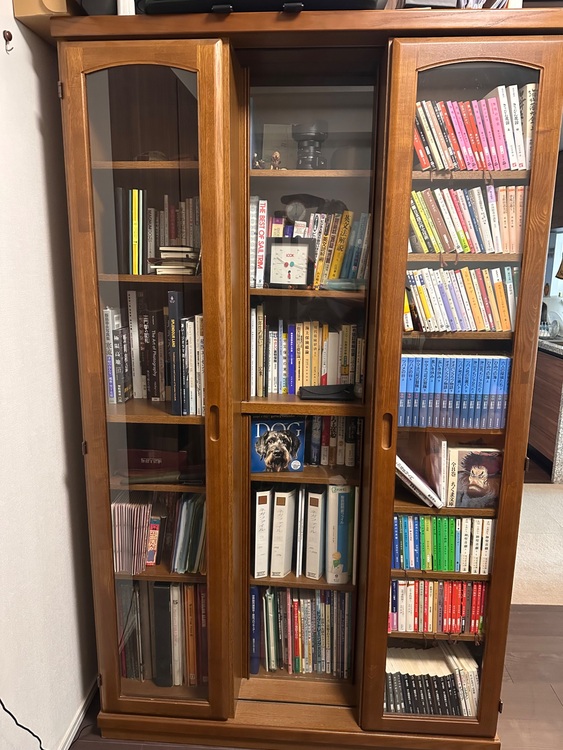 スライド式本棚（家具・寝具）の商品画像 - 査定依頼日：2025年8月22日 - 最高査定価格：5,000円