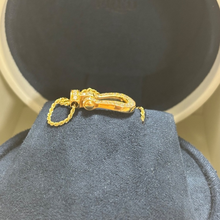 フレッドフォース10 ラージ　ネックレス（金・貴金属）の商品画像 - 査定依頼日：2025年9月14日 - 最高査定価格：500,000円