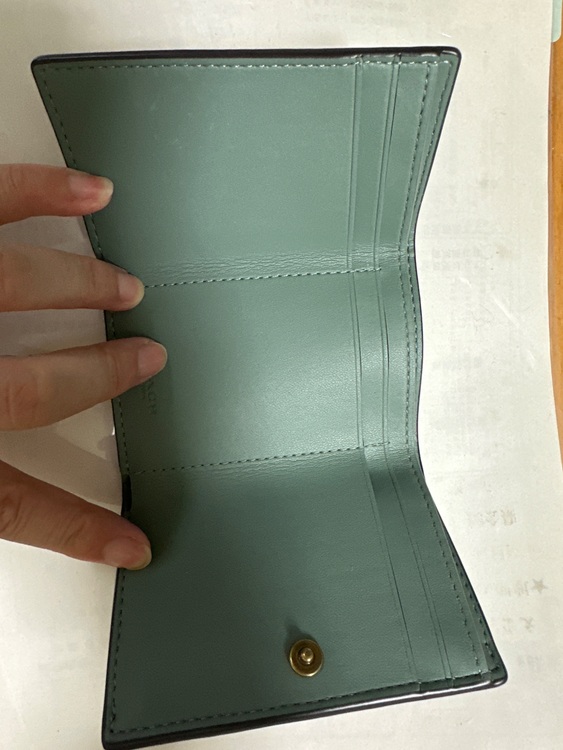 その他 コーチ （ブランドバッグ）の商品画像 - 査定依頼日：2025年10月5日 - 最高査定価格：2,500円