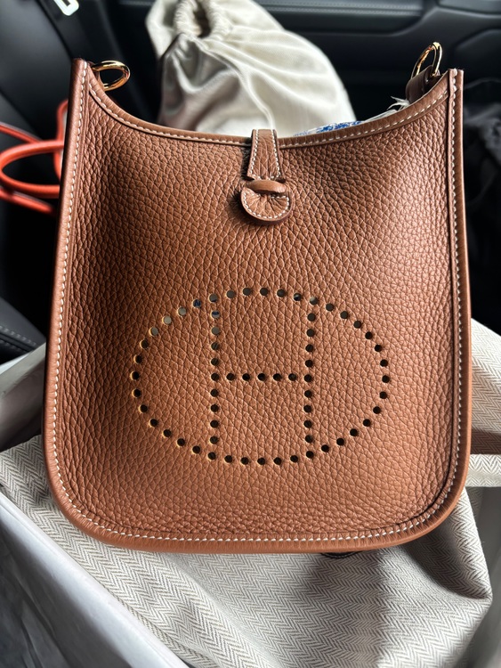 エヴリン tpm（ブランドバッグ）の商品画像 - 査定依頼日：2025年10月25日 - 最高査定価格：370,000円