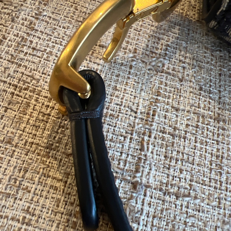 サドルバッグ（ブランドバッグ）の商品画像 - 査定依頼日：2026年4月7日 - 最高査定価格：260,000円