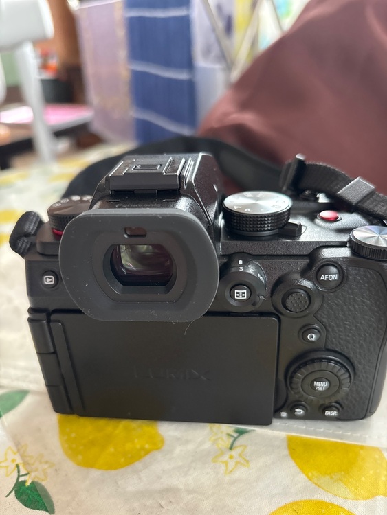 LUMIX S5Ⅱ（カメラ）の商品画像 - 査定依頼日：2025年8月10日 - 最高査定価格：120,000円