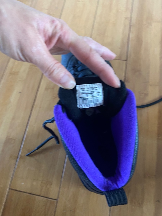 Nike Air Jordan 10 Sacramento Kings （古着・ファッション）の商品画像 - 査定依頼日：2026年4月23日 - 最高査定価格：25,000円