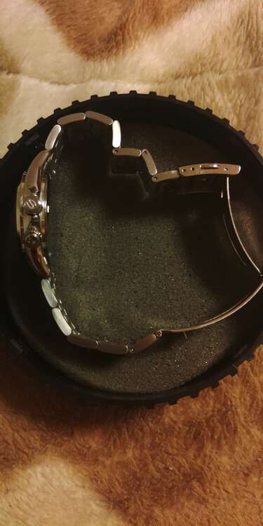 アルピニスト（高級時計）の商品画像 - 査定依頼日：2025年3月21日 - 最高査定価格：25,000円