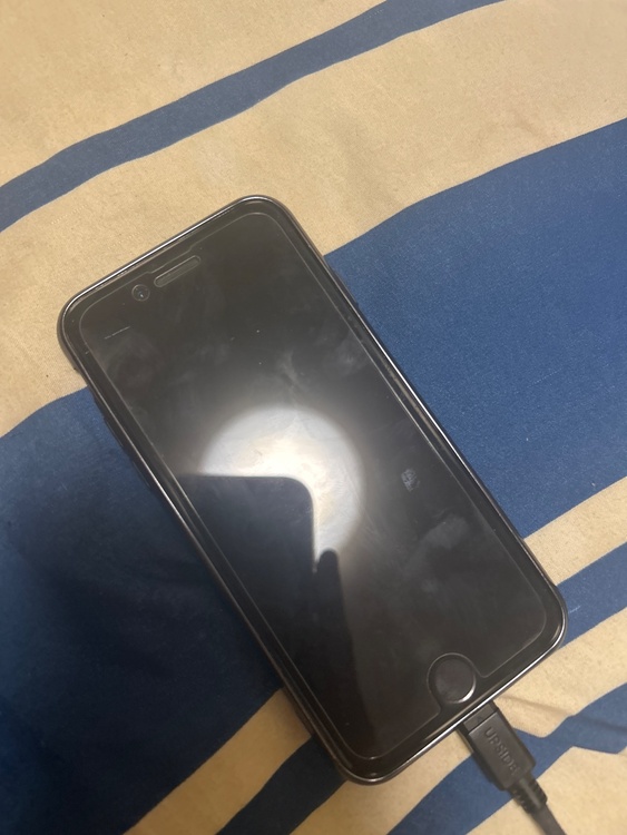 iPhone iPhone SE (第 2 世代) 128GB SIMフリー（スマホ）の商品画像 - 査定依頼日：2026年8月26日 - 最高査定価格：9,000円