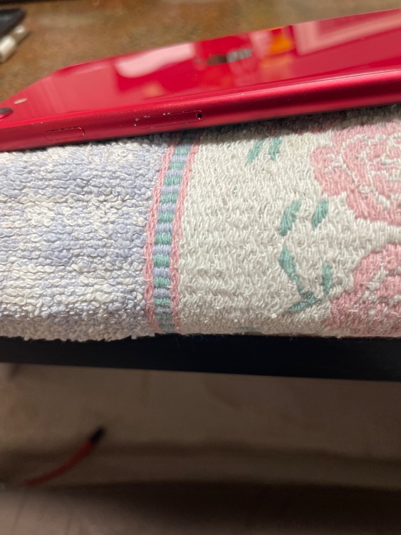 iPhone SE (第 2 世代) 64GB SIMフリー（スマホ）の商品画像 - 査定依頼日：2026年4月1日 - 最高査定価格：13,000円