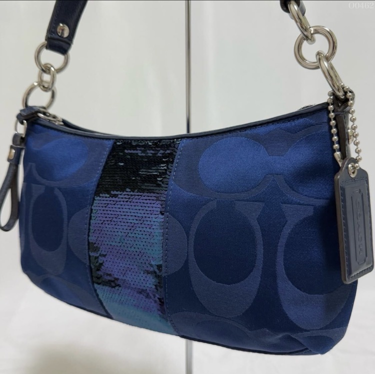 その他 コーチ （ブランドバッグ）の商品画像 - 査定依頼日：2026年4月15日 - 最高査定価格：1,500円