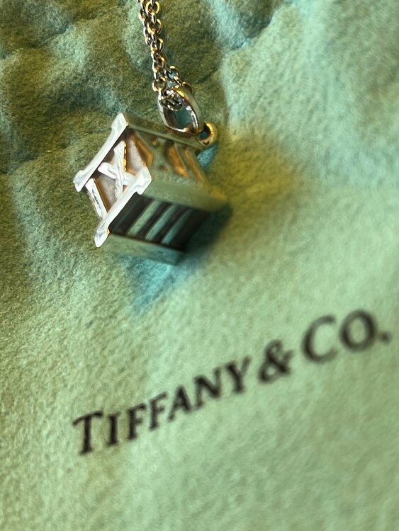 ティファニー アトラスキューブネックレス？（金・貴金属）の商品画像 - 査定依頼日：2025年5月13日 - 最高査定価格：3,000円
