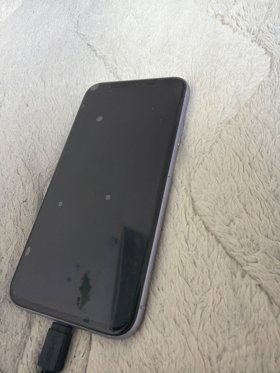 iPhone11（スマホ）の商品画像 - 査定依頼日：2026年4月12日 - 最高査定価格：23,000円