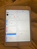 iPad mini4