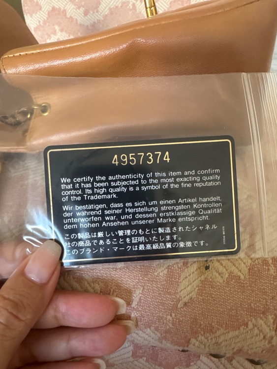 ダイアナ（ブランドバッグ）の商品画像 - 査定依頼日：2025年10月6日 - 最高査定価格：500,000円