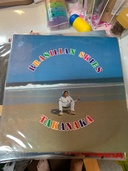 高中正義ブラジリアンスカイズ（レコード）の商品画像 - 査定依頼日：2026年4月11日 - 最高査定価格：1,000円