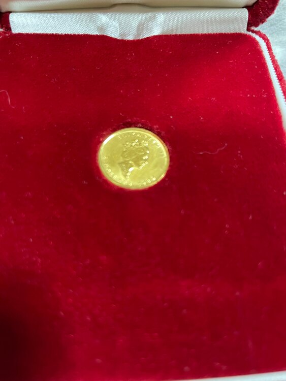 メープル金貨（金・貴金属）の商品画像 - 査定依頼日：2025年2月1日 - 最高査定価格：46,000円