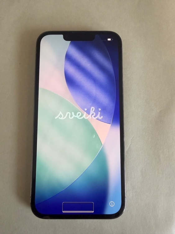 iPhone iPhone 13 Pro Max 256GB docomo（スマホ）の商品画像 - 査定依頼日：2026年7月19日 - 最高査定価格：62,000円