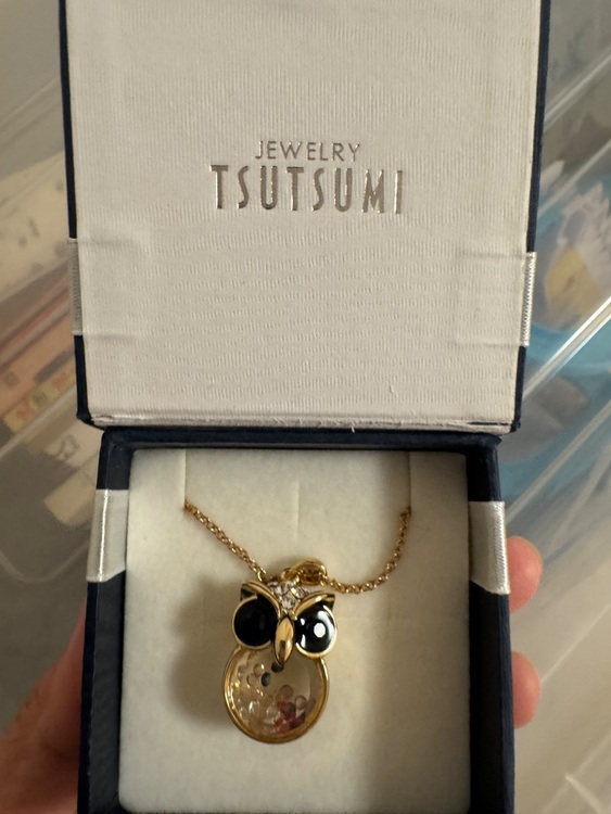 ツツミ　フクロウモチーフネックレス（金・貴金属）の商品画像 - 査定依頼日：2025年9月14日 - 最高査定価格：60,000円