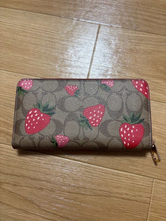 その他 コーチ （ブランドバッグ）の商品画像 - 査定依頼日：2025年8月2日 - 最高査定価格：9,000円