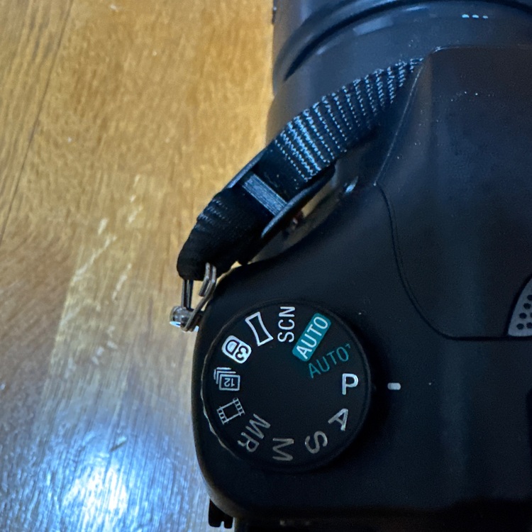 SLT-A77V（カメラ）の商品画像 - 査定依頼日：2025年11月14日 - 最高査定価格：12,000円