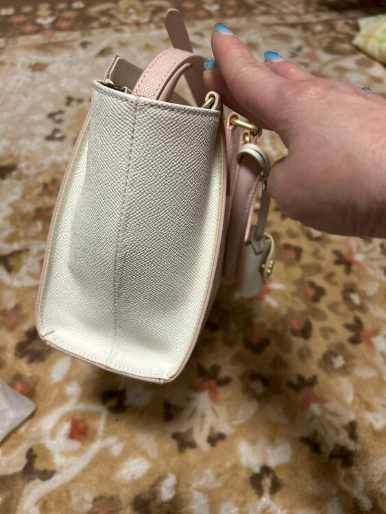 ショルダーバッグ（ブランドバッグ）の商品画像 - 査定依頼日：2025年5月6日 - 最高査定価格：2,000円